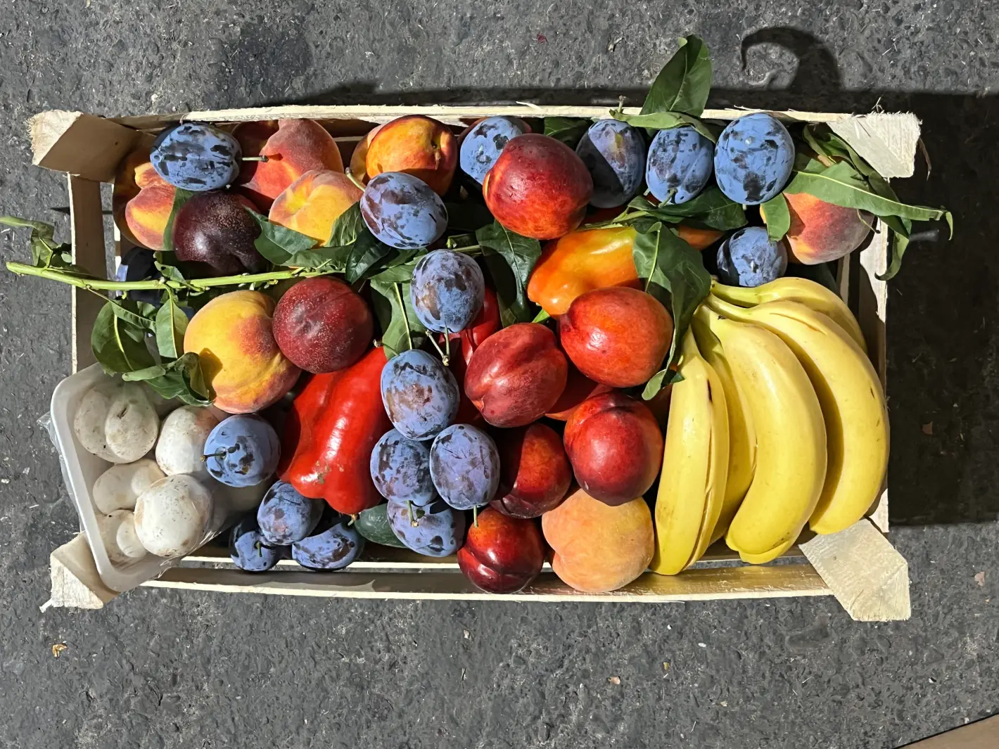 Bum zdravi paket – fotografija gotovih paketa
